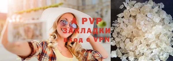прущие грибы Нефтекумск