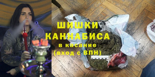 прущие грибы Нефтекумск