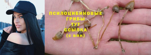 герыч Лиски