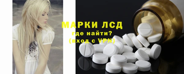 прущие грибы Нефтекумск