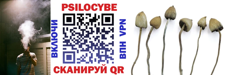 Псилоцибиновые грибы Psilocybine cubensis  Себеж 